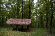 Молодова з panoramio.com