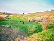 Назарівка з panoramio.com