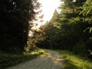 Товмачик з panoramio.com