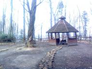 Товмачик з panoramio.com