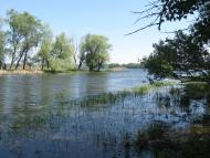 Розумівка з panoramio.com