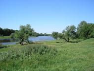 Чемерпіль з panoramio.com