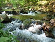 Синяк з panoramio.com