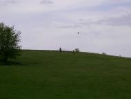 Нововознесенка з panoramio.com