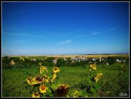 Городище з panoramio.com