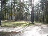 Дубовичі з panoramio.com