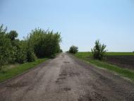 Аркадівка з panoramio.com