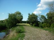 Майорщина - Останні фото