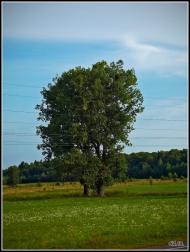 Три Копці з panoramio.com