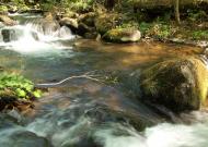 Синяк з panoramio.com