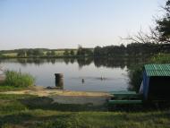 Вишнева з panoramio.com