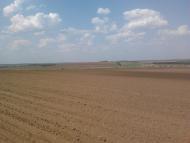 Васинівка з panoramio.com