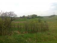 Лопушна з panoramio.com