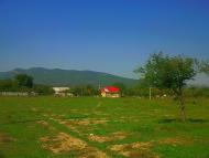 Аромат з panoramio.com