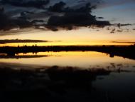 Березина - Останні фото