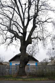 Дитятки з panoramio.com