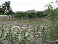 Тарасівці з panoramio.com