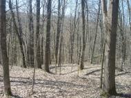 Чапаєвка з panoramio.com