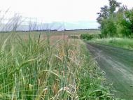 Висока Яруга з panoramio.com