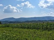 Керецьки з panoramio.com