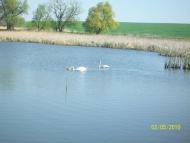 Михайлівка з panoramio.com