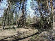 Калинівка з panoramio.com