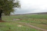 Братське з panoramio.com