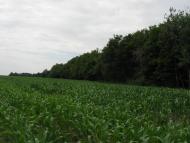 Городок з panoramio.com