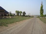 Весняна Квітка з panoramio.com