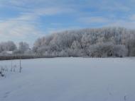 Вільшане з panoramio.com