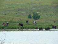 Демівщина з panoramio.com