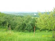 Завидово з panoramio.com