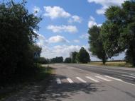 Ситники з panoramio.com