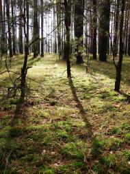 Шаболтасівка з panoramio.com