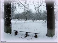 Луків з panoramio.com