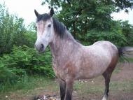 Гребені з panoramio.com