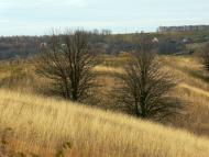 Василів з panoramio.com