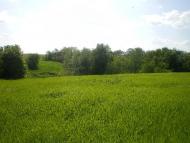 Слюсарі з panoramio.com