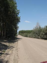 Лісівщина з panoramio.com