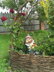 Дядьковичі з panoramio.com