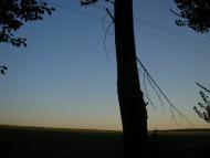 Піддубне з panoramio.com