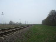 Грибенинка з panoramio.com