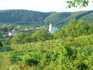 Завидово з panoramio.com