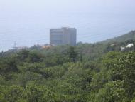 Польове з panoramio.com