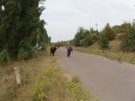 Пасат з panoramio.com