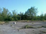 Українське - Останні фото