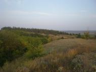 Пантеліївка з panoramio.com