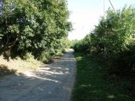 Андрушівка з panoramio.com