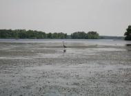 Розумівка з panoramio.com