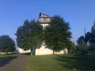 Вовчківці з panoramio.com